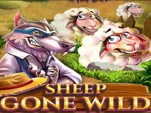 Sheep Gone Wild thumbnail